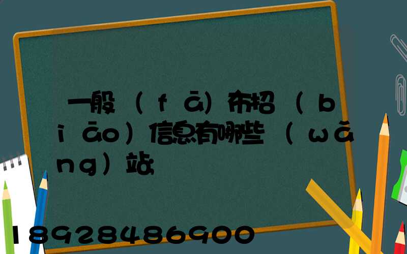 一般發(fā)布招標(biāo)信息有哪些網(wǎng)站