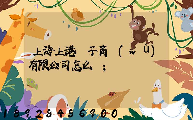 上海上港電子商務(wù)有限公司怎么樣