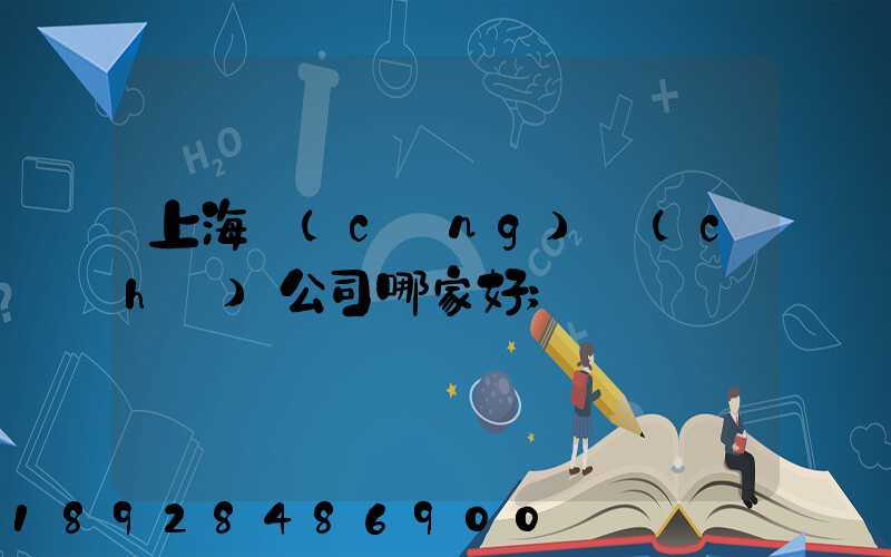 上海倉(cāng)儲(chǔ)公司哪家好