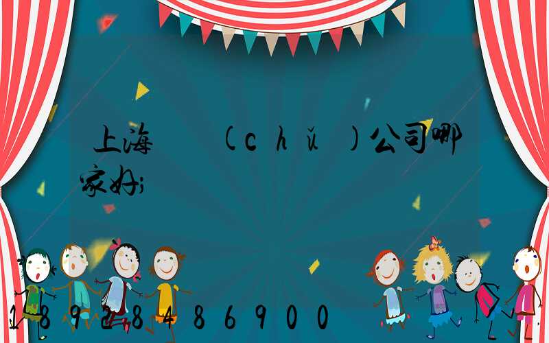 上海倉儲(chǔ)公司哪家好