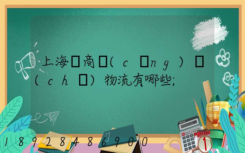 上海電商倉(cāng)儲(chǔ)物流有哪些