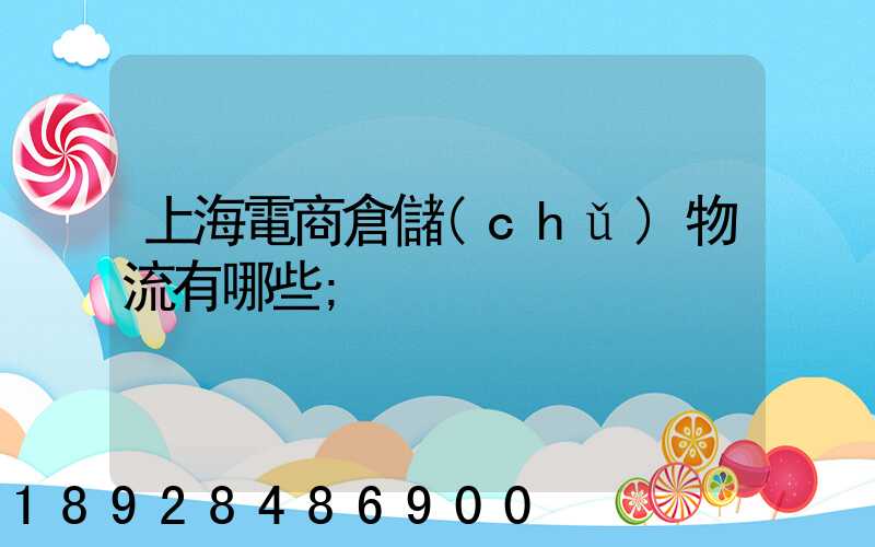 上海電商倉儲(chǔ)物流有哪些