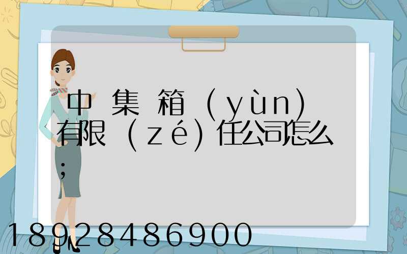 中鐵集裝箱運(yùn)輸有限責(zé)任公司怎么樣