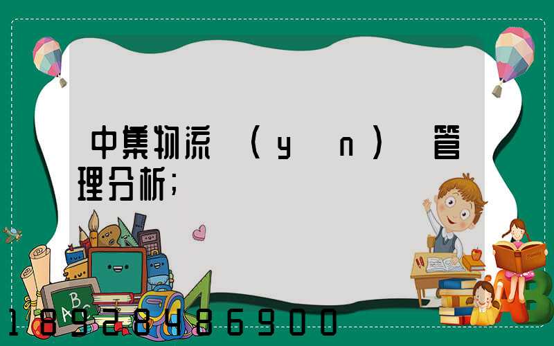 中集物流運(yùn)輸管理分析