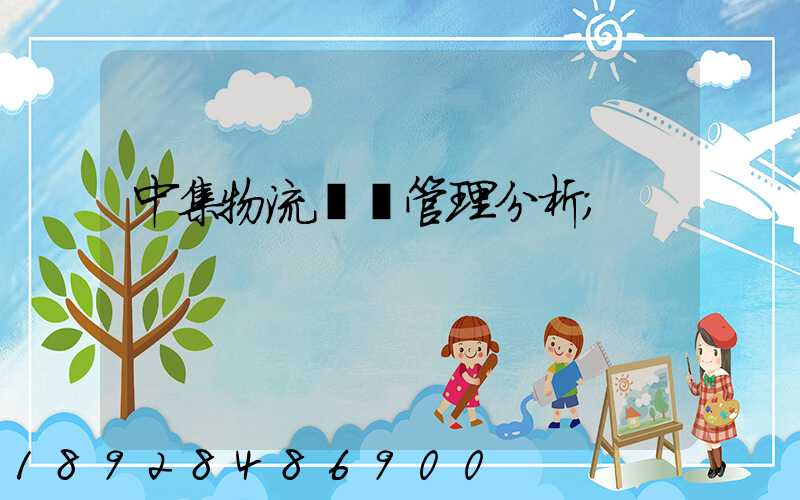 中集物流運輸管理分析