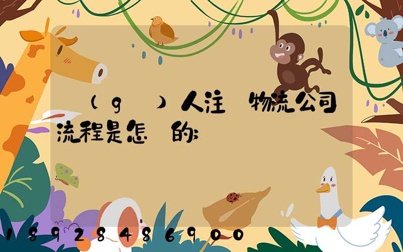 個(gè)人注冊物流公司流程是怎樣的
