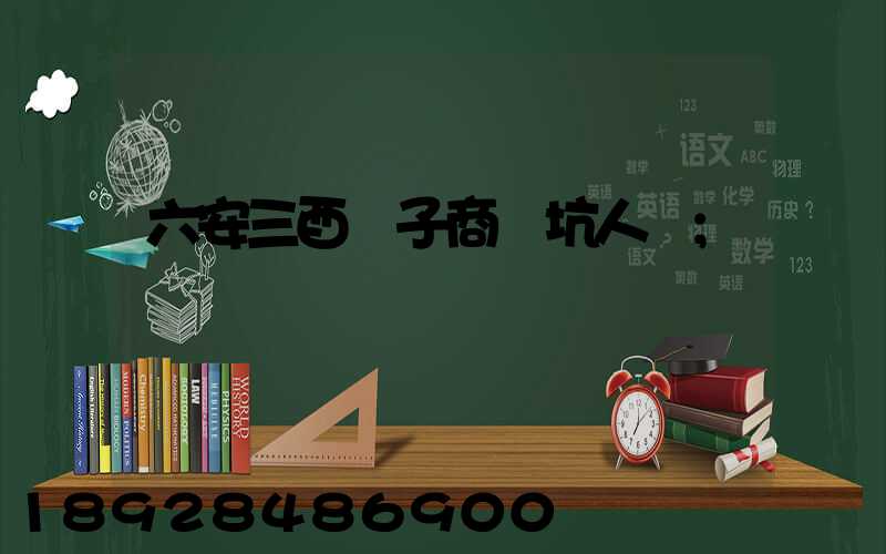 六安三酉電子商務坑人嗎