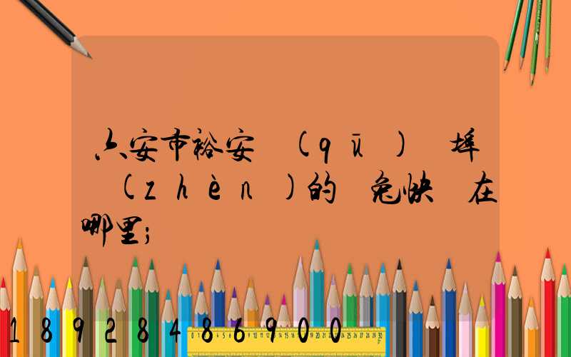 六安市裕安區(qū)蘇埠鎮(zhèn)的極兔快遞在哪里