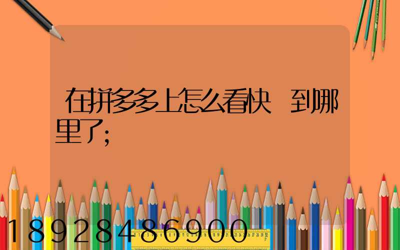 在拼多多上怎么看快遞到哪里了