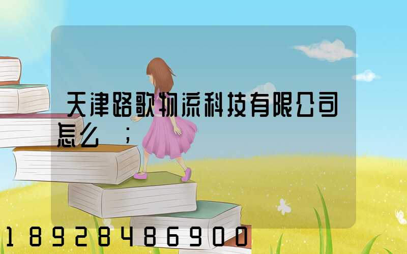 天津路歌物流科技有限公司怎么樣