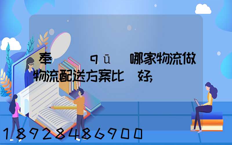 奉賢區(qū)哪家物流做物流配送方案比較好