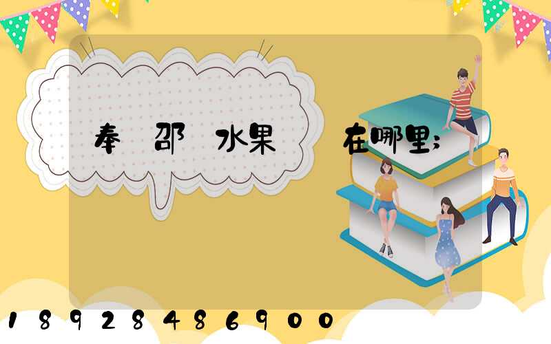 奉賢邵廠水果倉庫在哪里