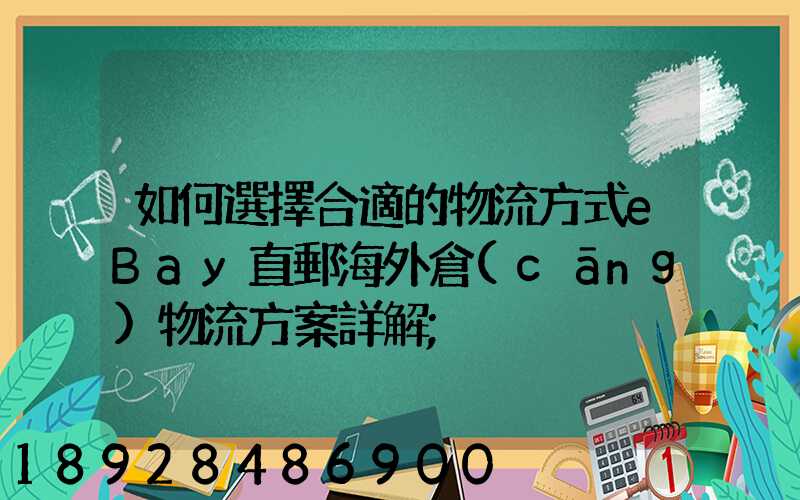如何選擇合適的物流方式eBay直郵海外倉(cāng)物流方案詳解