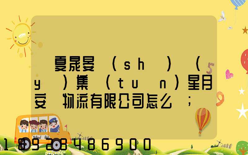 寧夏晟晏實(shí)業(yè)集團(tuán)星月安順物流有限公司怎么樣