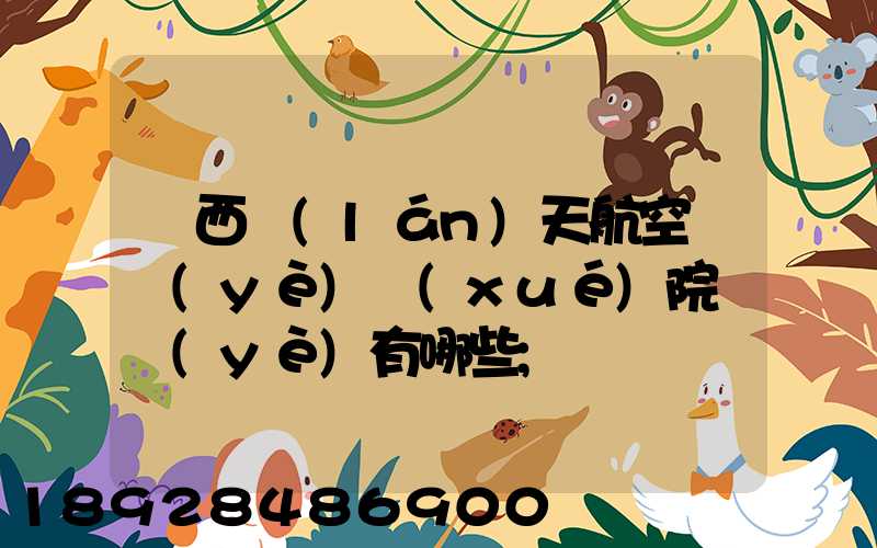 廣西藍(lán)天航空職業(yè)學(xué)院專業(yè)有哪些