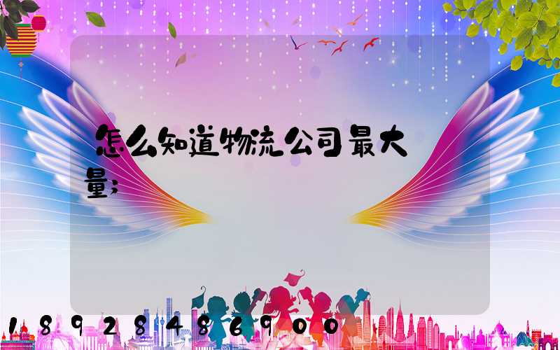 怎么知道物流公司最大貨運量