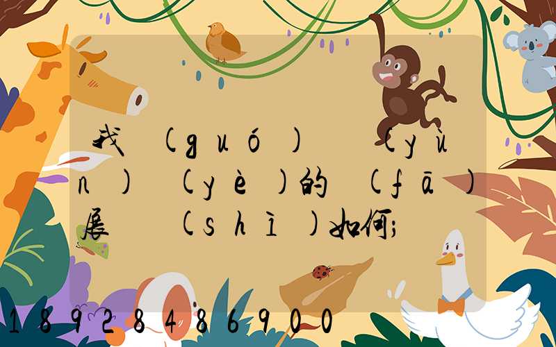 我國(guó)貨運(yùn)業(yè)的發(fā)展趨勢(shì)如何