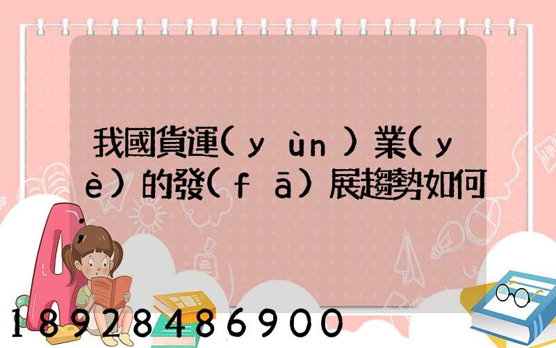 我國貨運(yùn)業(yè)的發(fā)展趨勢如何