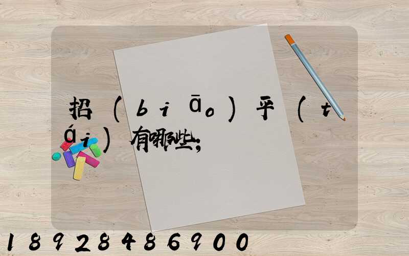 招標(biāo)平臺(tái)有哪些
