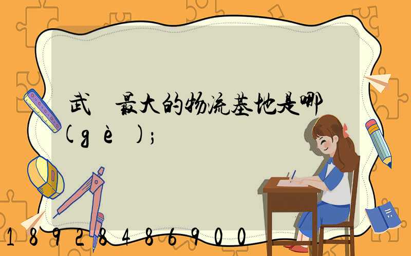 武漢最大的物流基地是哪個(gè)