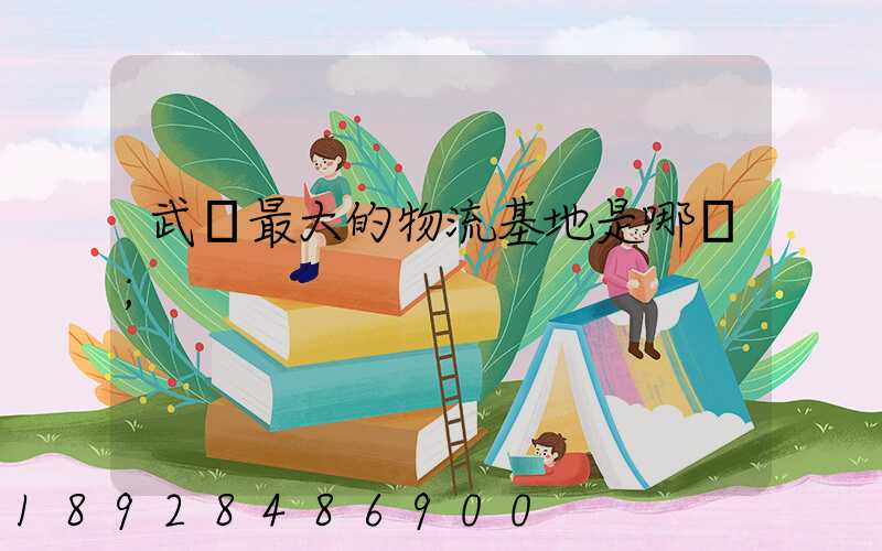 武漢最大的物流基地是哪個