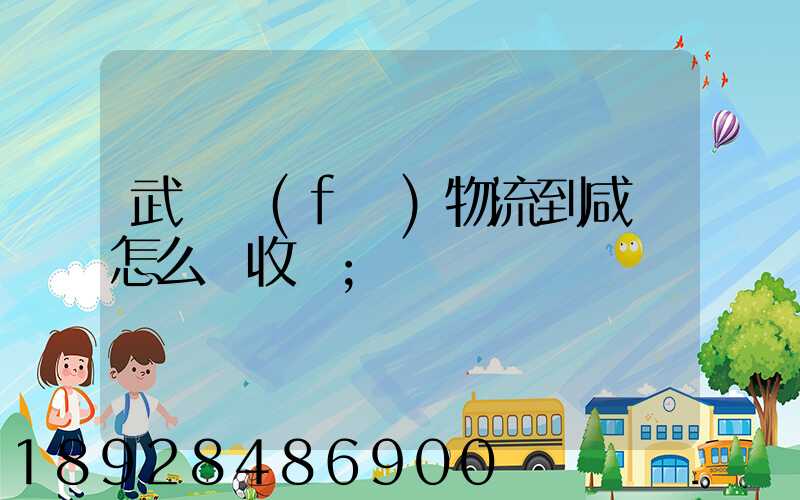 武漢發(fā)物流到咸寧怎么樣收費
