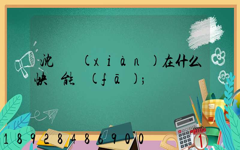 沈陽現(xiàn)在什么快遞能發(fā)