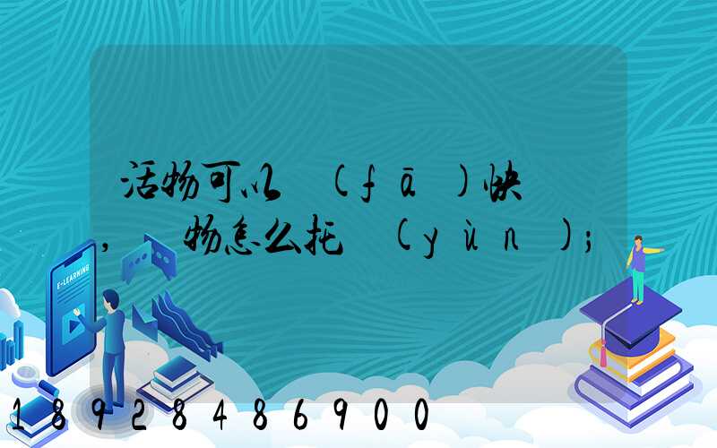 活物可以發(fā)快遞嗎,寵物怎么托運(yùn)