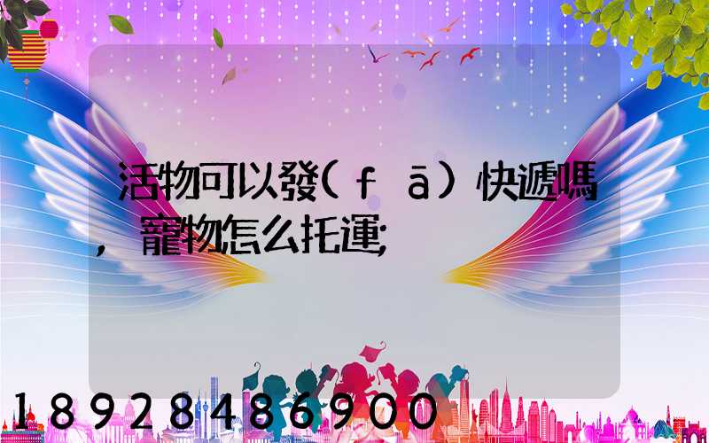活物可以發(fā)快遞嗎,寵物怎么托運