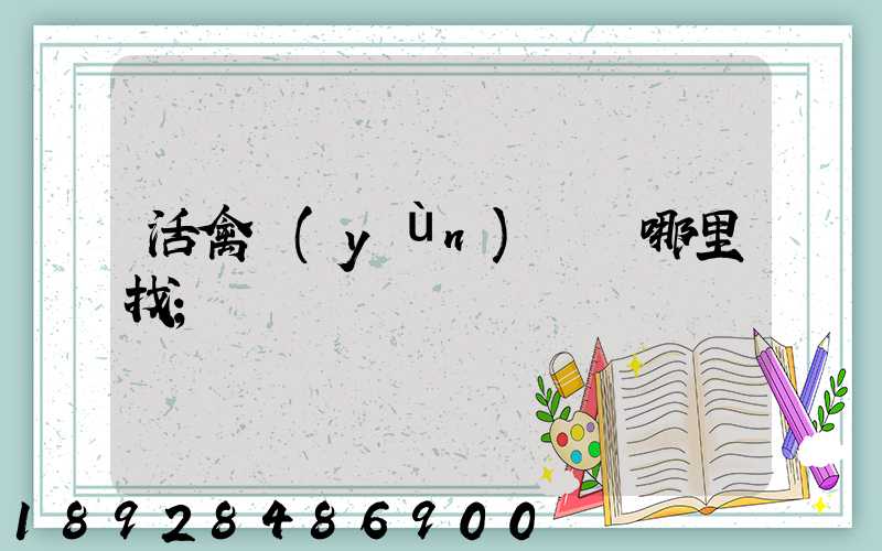 活禽運(yùn)輸車哪里找