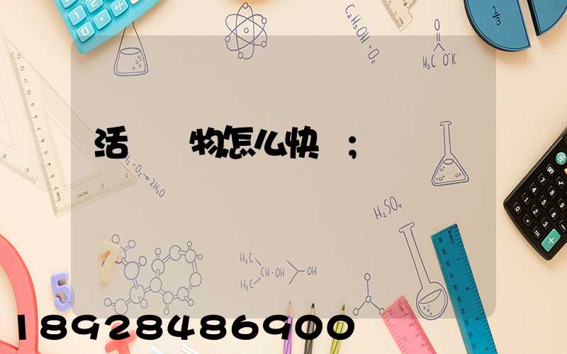 活體寵物怎么快遞