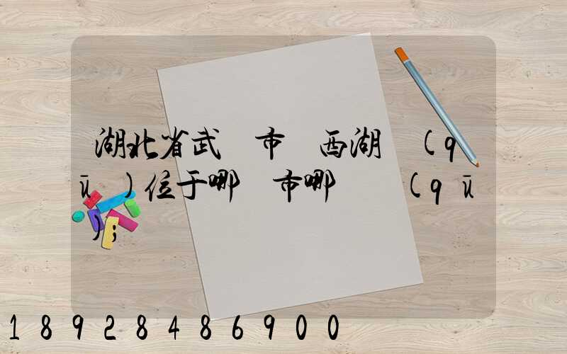 湖北省武漢市東西湖區(qū)位于哪個市哪個區(qū)