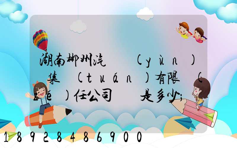 湖南郴州汽車運(yùn)輸集團(tuán)有限責(zé)任公司電話是多少