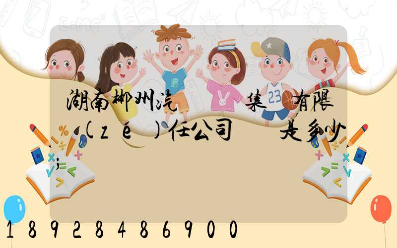 湖南郴州汽車運輸集團有限責(zé)任公司電話是多少