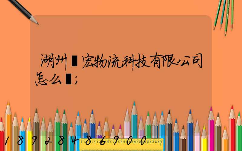 湖州賽宏物流科技有限公司怎么樣