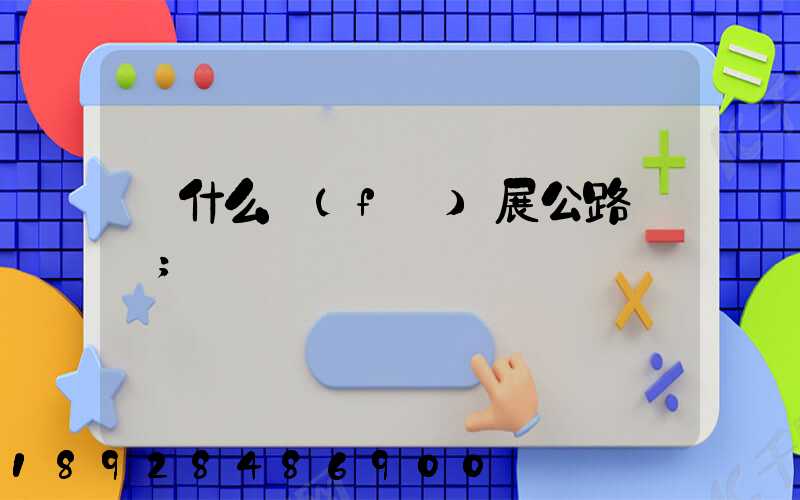 為什么發(fā)展公路運輸