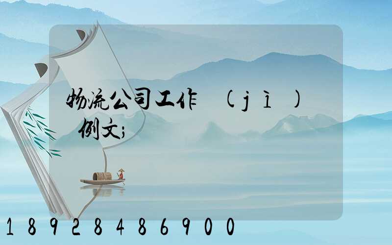 物流公司工作計(jì)劃書例文