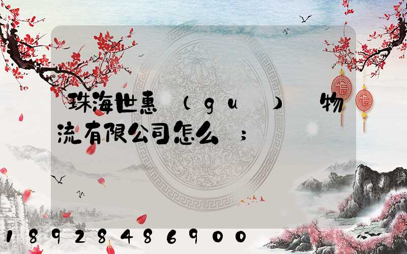 珠海世惠國(guó)際物流有限公司怎么樣