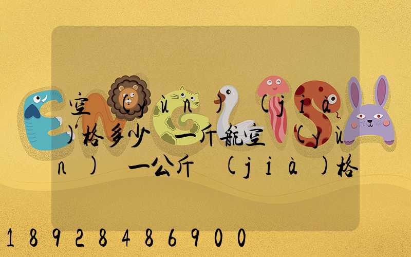 空運(yùn)價(jià)格多少錢一斤航空運(yùn)輸一公斤價(jià)格