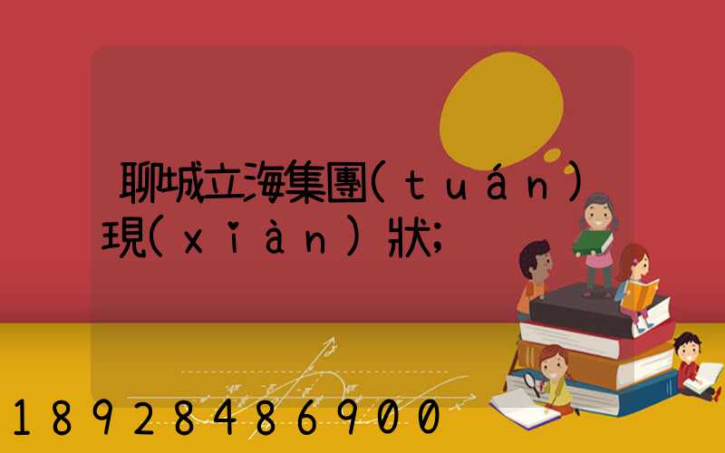 聊城立海集團(tuán)現(xiàn)狀