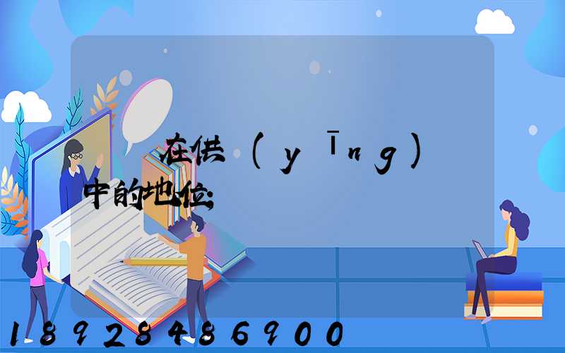 蘇寧在供應(yīng)鏈中的地位