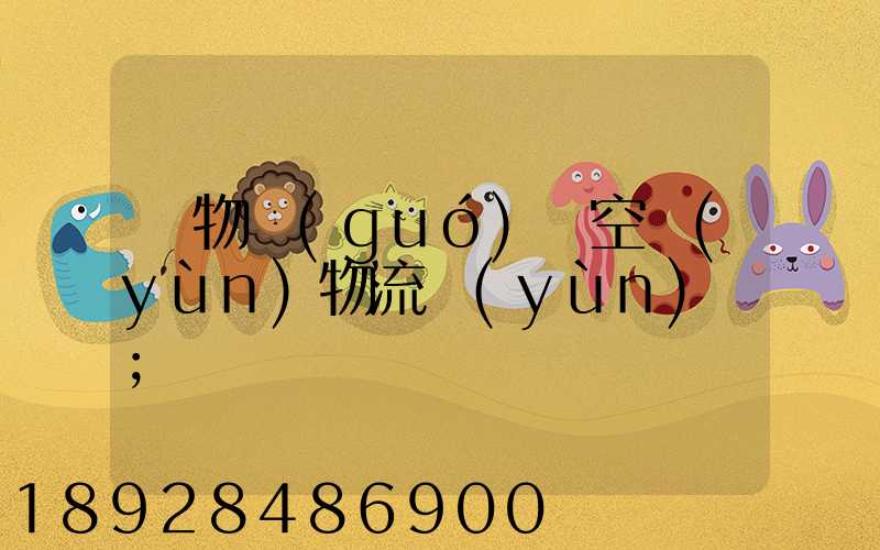 貨物國(guó)際空運(yùn)物流運(yùn)輸