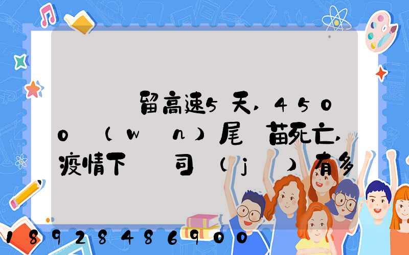 貨車滯留高速5天,4500萬(wàn)尾魚苗死亡,疫情下貨車司機(jī)有多不易