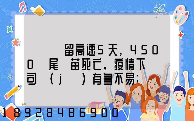 貨車滯留高速5天,4500萬尾魚苗死亡,疫情下貨車司機(jī)有多不易