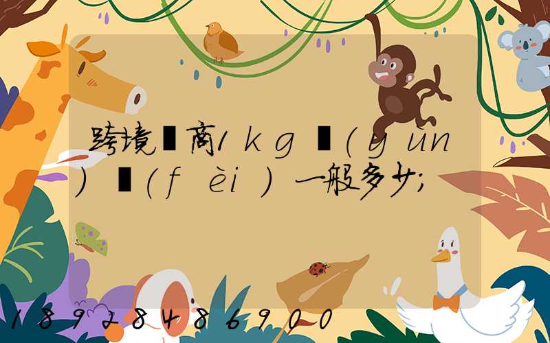 跨境電商1kg運(yùn)費(fèi)一般多少