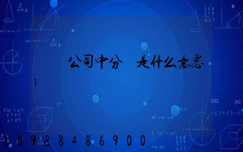 運輸公司中分撥是什么意思