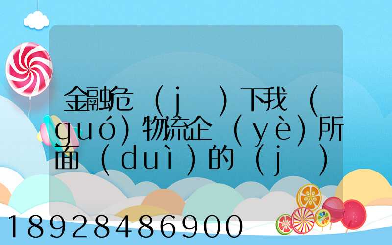 金融危機(jī)下我國(guó)物流企業(yè)所面對(duì)的機(jī)遇和挑戰(zhàn)