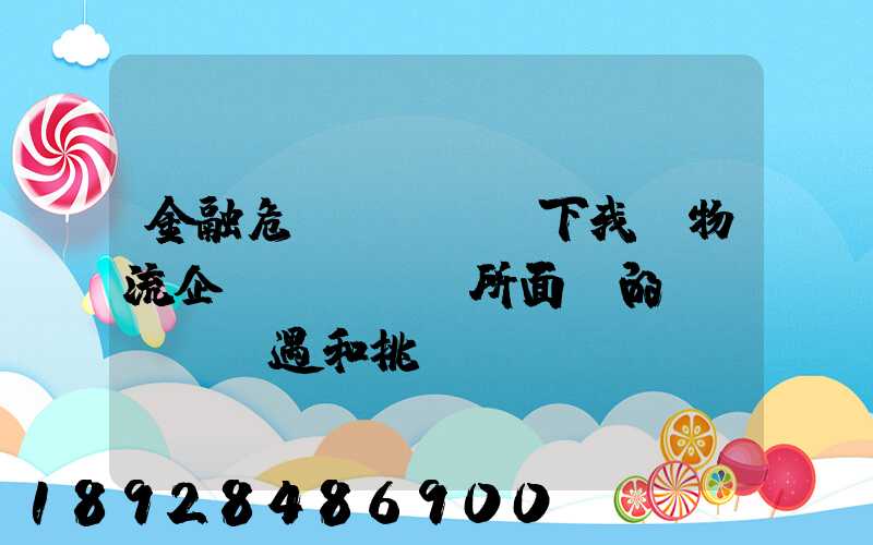 金融危機(jī)下我國物流企業(yè)所面對的機(jī)遇和挑戰(zhàn)