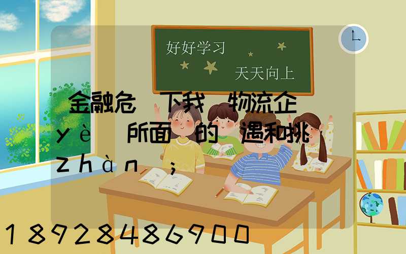 金融危機下我國物流企業(yè)所面對的機遇和挑戰(zhàn)