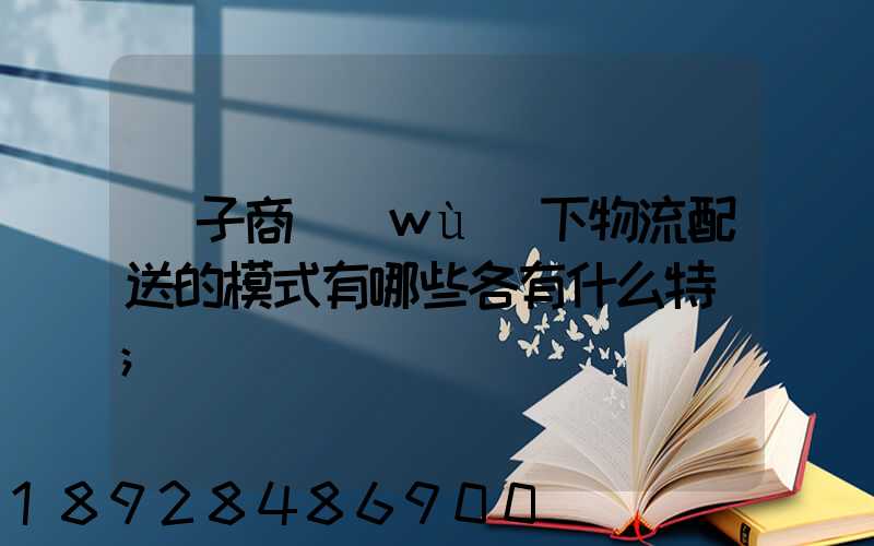 電子商務(wù)下物流配送的模式有哪些各有什么特點